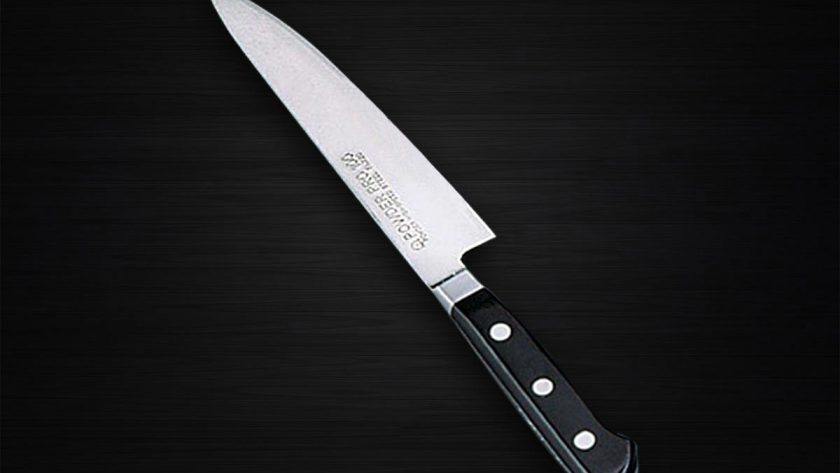 Sabun POWDER PRO 100 Powdered High Speed Steel Japanese Chef's Petty Knife (Utility) 120mm